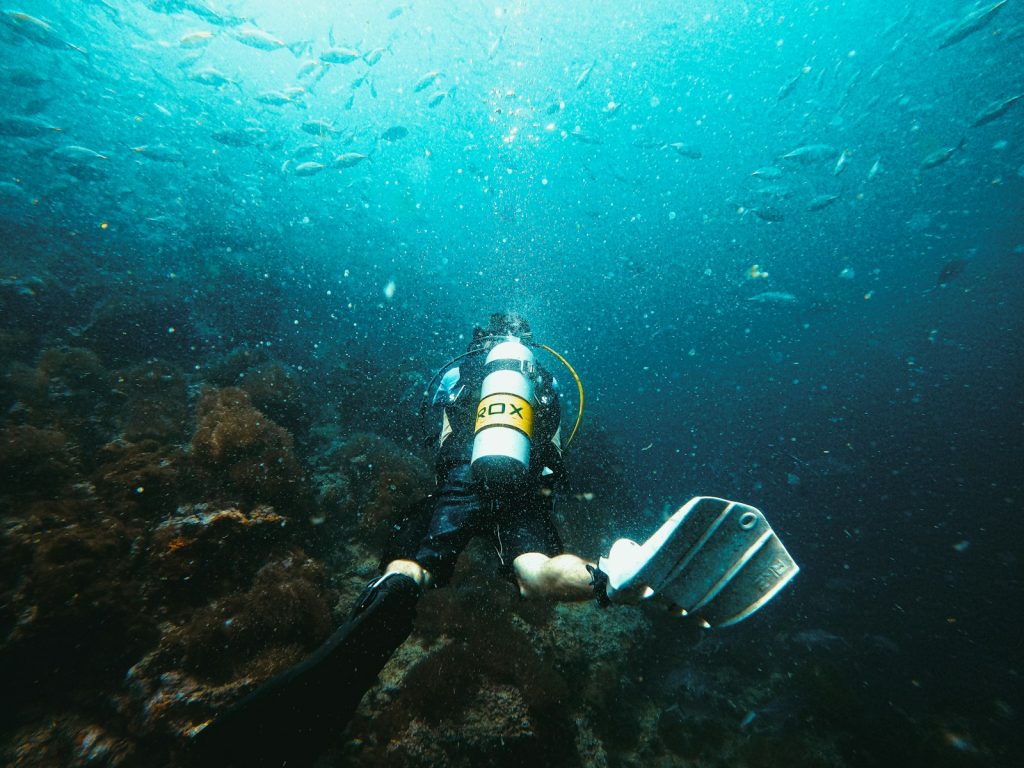 A Komodo Charter for Beginner Divers
