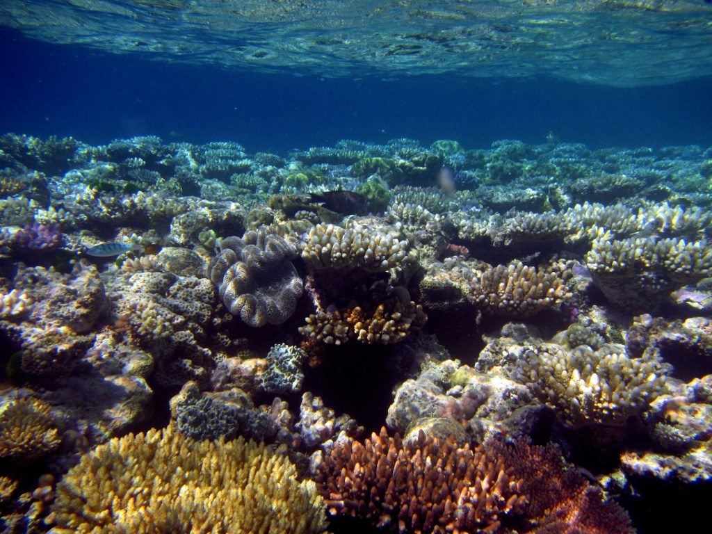 Komodo Charter Group Size: How Many Guests?