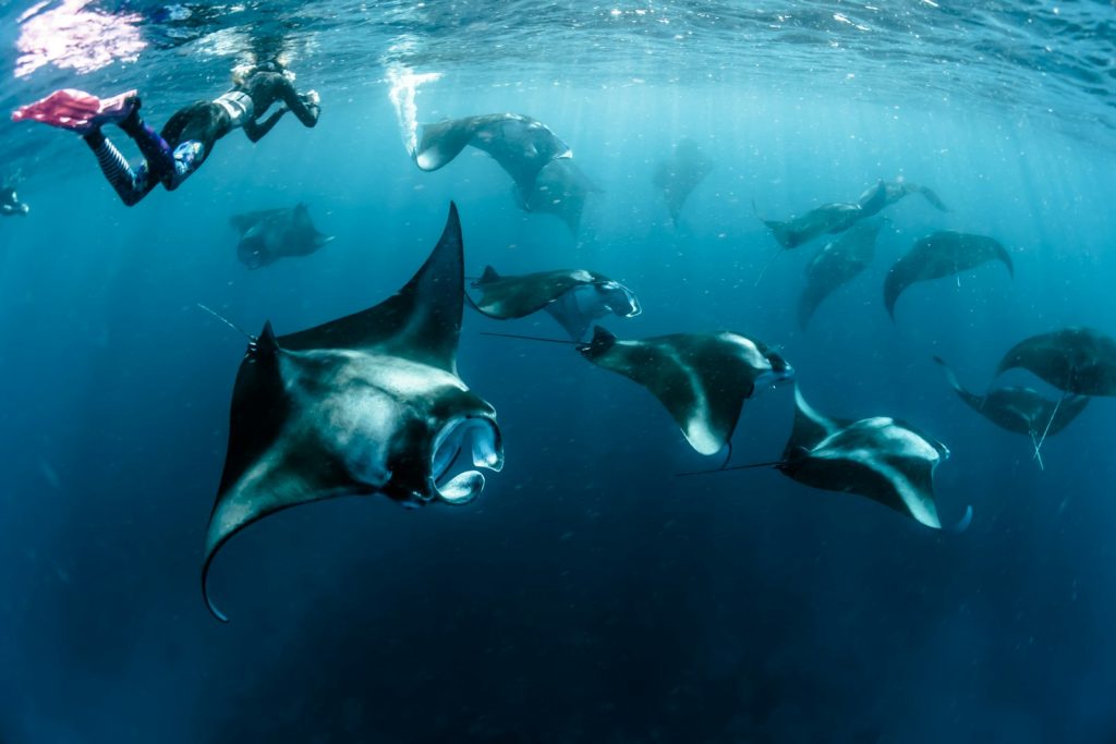 A Komodo Charter for Non-Divers & Snorkellers
