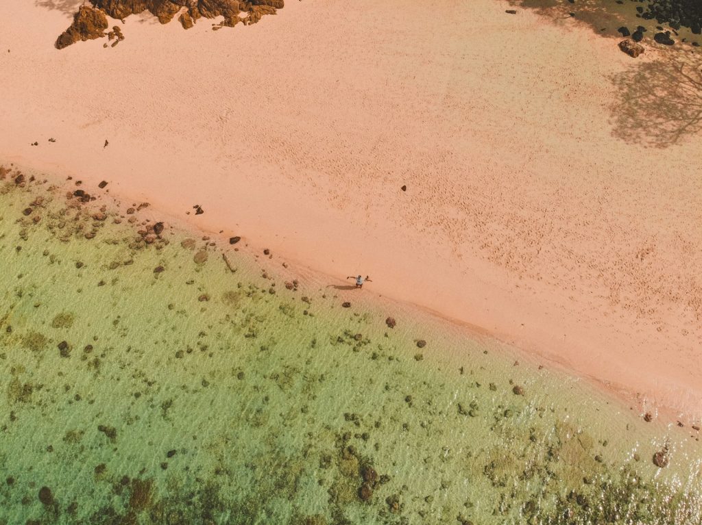 Komodo Speedboat Charter vs Phinisi